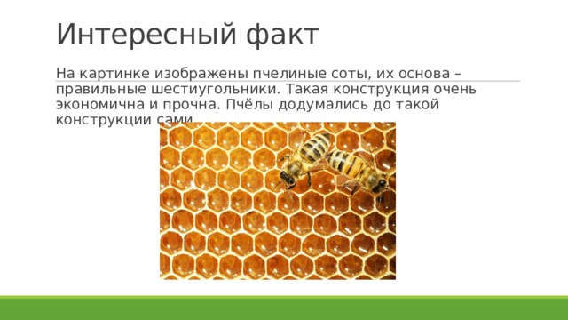 Интересный факт На картинке изображены пчелиные соты, их основа – правильные шестиугольники. Такая конструкция очень экономична и прочна. Пчёлы додумались до такой конструкции сами. 