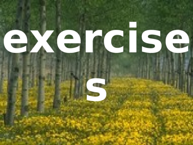 exercises 