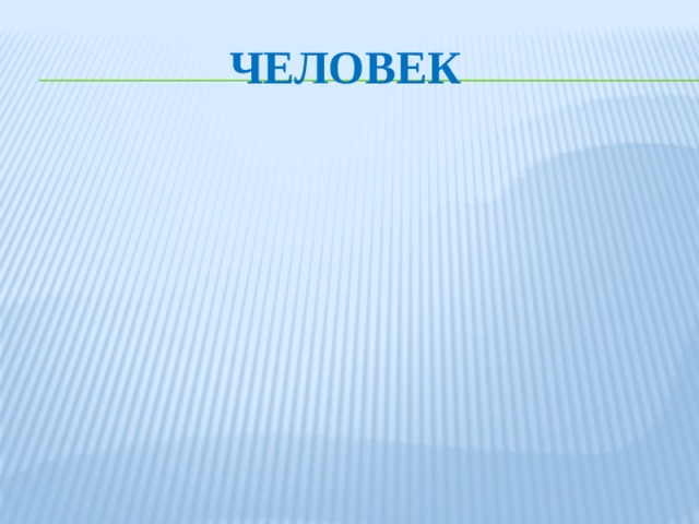 ЧЕЛОВЕК  