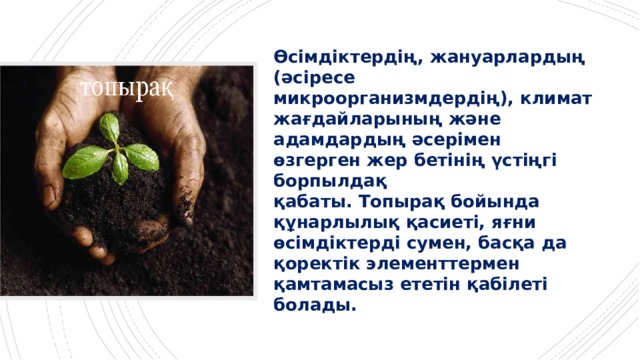 Өсімдіктердің, жануарлардың (әсіресе микроорганизмдердің), климат жағдайларының және адамдардың әсерімен өзгерген жер бетінің үстіңгі борпылдақ қабаты. Топырақ бойында құнарлылық қасиеті, яғни өсімдіктерді сумен, басқа да қоректік элементтермен қамтамасыз ететін қабілеті болады. 