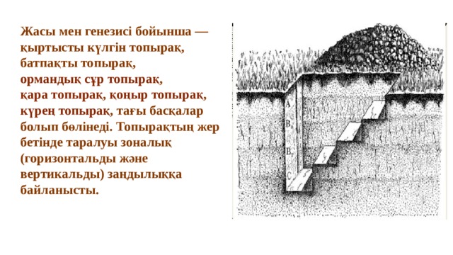 Жасы мен генезисі бойынша —  қыртысты күлгін топырақ ,  батпақты топырақ ,  ормандық сұр топырақ ,  қара топырақ ,  қоңыр топырақ ,  күрең топырақ , тағы басқалар болып бөлінеді. Топырақтың жер бетінде таралуы зоналық (горизонтальды және вертикальды) заңдылыққа байланысты. 