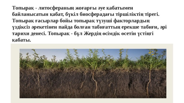 Топырақ - литосфераның жоғарғы әуе қабатымен байланысатын қабат, бүкіл биосферадағы тіршіліктің тірегі. Топырақ ғасырлар бойы топырақ түзуші факторлардың үздіксіз әрекетінен пайда болған табиғаттың ерекше табиғи, әрі тарихи денесі. Топырақ - бұл Жердің өсімдік өсетін үстіңгі қабаты. 
