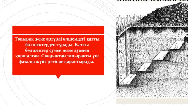 Топырақ жеке әртүрлі өлшемдегі қатты бөлшектерден тұрады. Қатты бөлшектер сумен және ауамен қоршалған. Сондықтан топырақты үш фазалы жүйе ретінде қарастырады.  