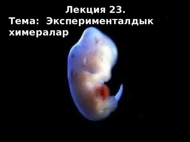 Лекция 23. Тема: Эксперименталдык химералар 