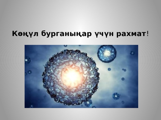 Көңүл бурганыңар үчүн рахмат ! 