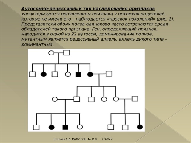 Аутосомно-рецессивный тип наследования признаков характеризуется проявлением признака у потомков родителей, которые не имели его – наблюдается «проскок поколений» (рис. 2). Представители обоих полов одинаково часто встречаются среди обладателей такого признака. Ген, определяющий признак, находится в одной из 22 аутосом, доминирование полное, мутантным является рецессивный аллель, аллель дикого типа – доминантный.   5/12/20 Козлова Е.В. МАОУ СОШ № 119 