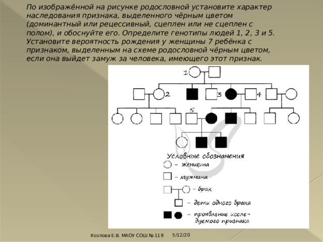 По родословной человека представленной на рисунке установите характер наследования изогнутый мизинец