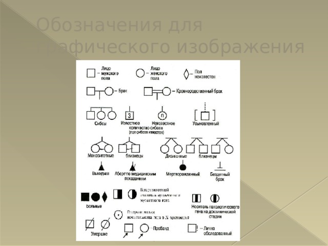 Правила графического изображения родословной