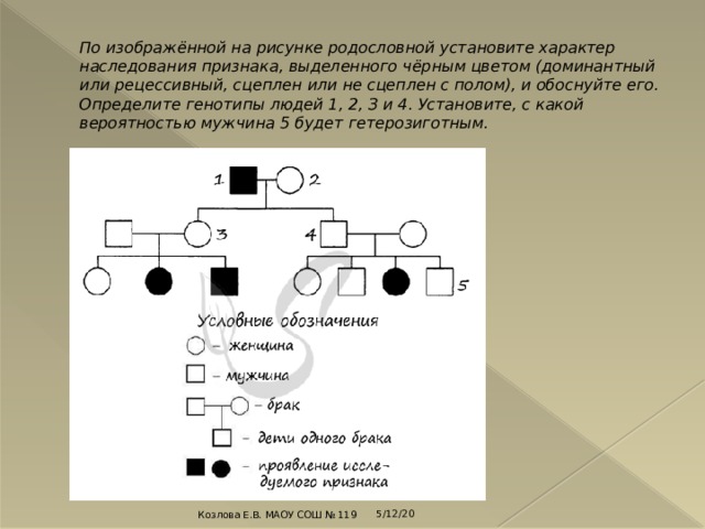 На изображенной на рисунке родословной установите характер проявления признака