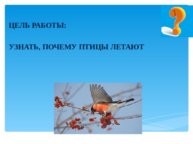 Почему птицы летают. Благодаря чему птицы летают. Зачем птицам летать. Почему птицы могут летать.