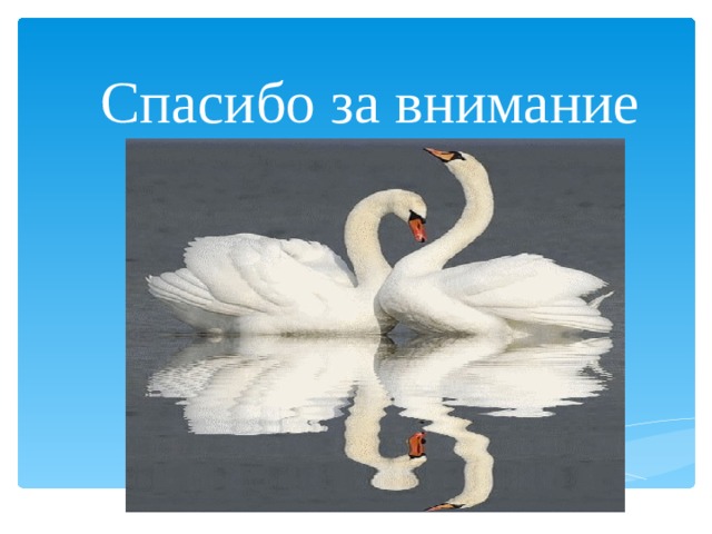 Спасибо за внимание 