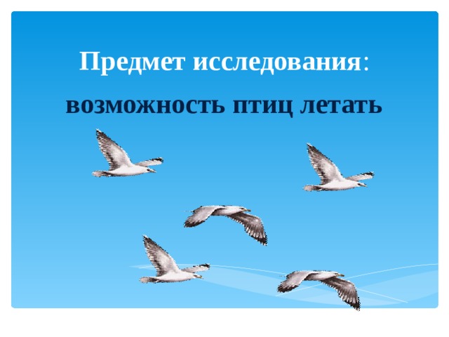 Предмет исследования :    возможность птиц летать 