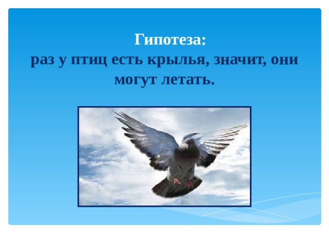 Гипотеза:  раз у птиц есть крылья, значит, они могут летать.   