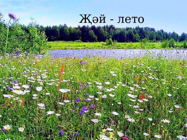 Җәй - лето 