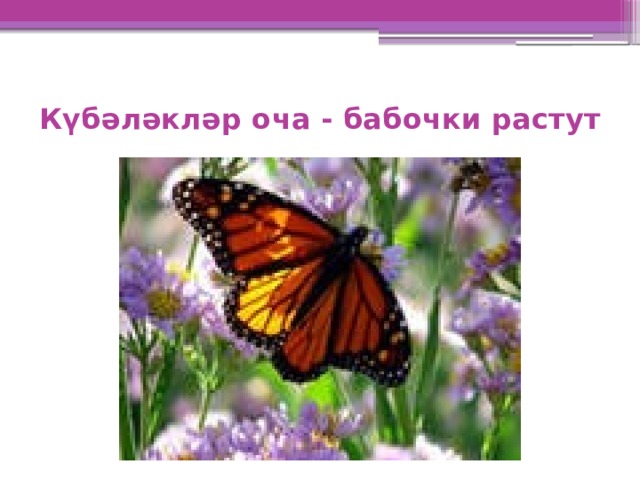 Күбәләкләр оча - бабочки растут 
