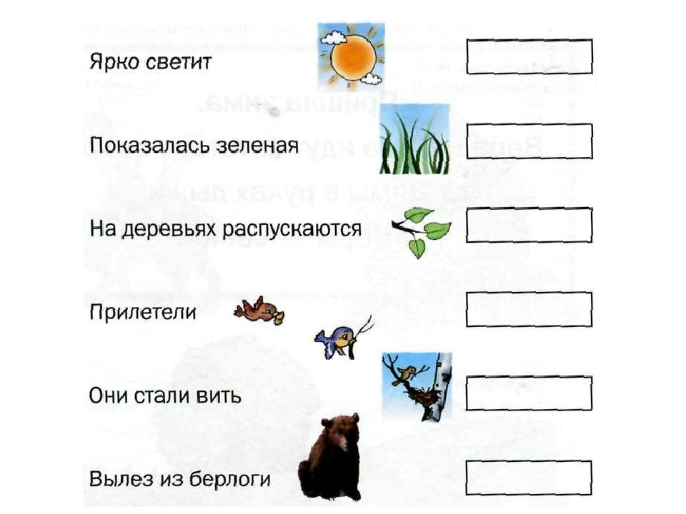 Схема предложений задания. Составление предложений по картинкам. Задания на составление предложений. Составление предложений для дошкольников. Состав предложения для дошкольников.