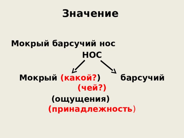 Значение  Мокрый барсучий нос НОС  Мокрый (какой? ) барсучий (чей?)  (ощущения) (принадлежность ) 