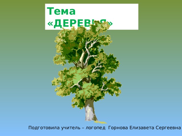 Презентация на тему деревья