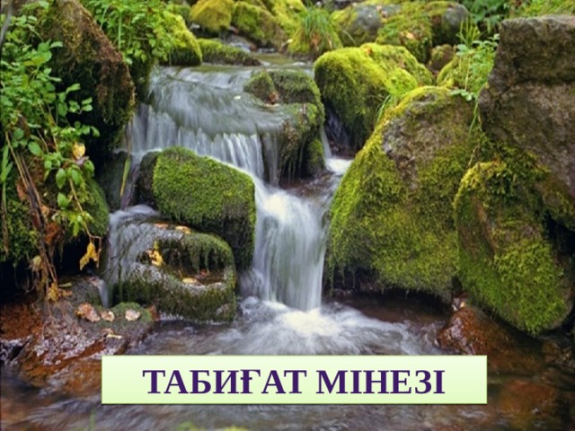 Табиғат мінезі 