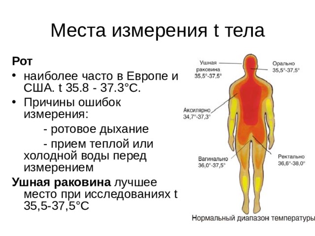Места измерения t тела Рот наиболее часто в Европе и США. t 35.8 - 37.3°C. Причины ошибок измерения :   - ротовое дыхание   - прием теплой или холодной воды перед измерением Ушная раковина лучшее место при исследованиях t 35,5-37,5 °C 
