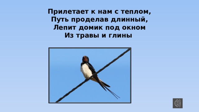 Прилетает к нам с теплом, Путь проделав длинный, Лепит домик под окном Из травы и глины 