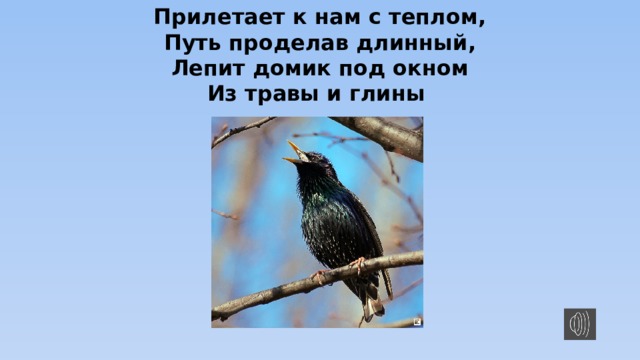 Прилетает к нам с теплом, Путь проделав длинный, Лепит домик под окном Из травы и глины 