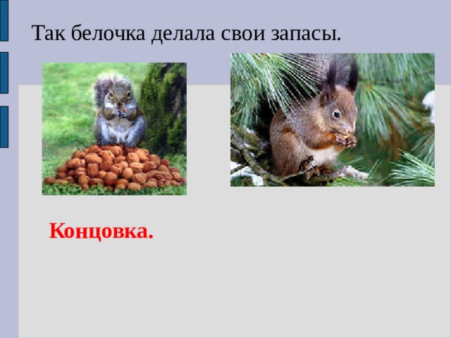 Так белочка делала свои запасы. Концовка. 