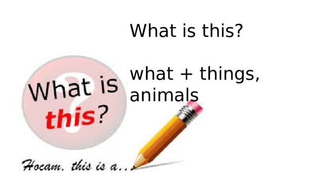 What is this? what + things, animals 