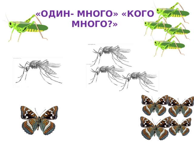 «ОДИН- МНОГО» «КОГО МНОГО?» 