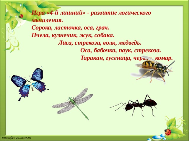 Игра «4-й лишний» - развитие логического мышления. Сорока, ласточка, оса, грач.    Пчела, кузнечик, жук, собака.  Лиса, стрекоза, волк, медведь.   Оса, бабочка, паук, стрекоза.  Таракан, гусеница, червяк, комар.  