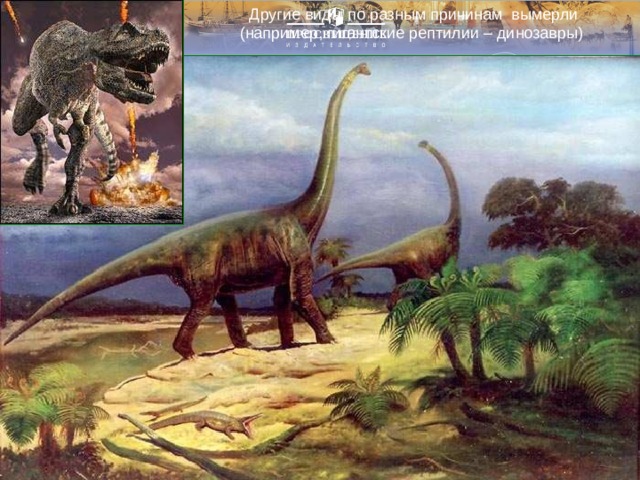Другие виды по разным причинам вымерли (например, гигантские рептилии – динозавры) 