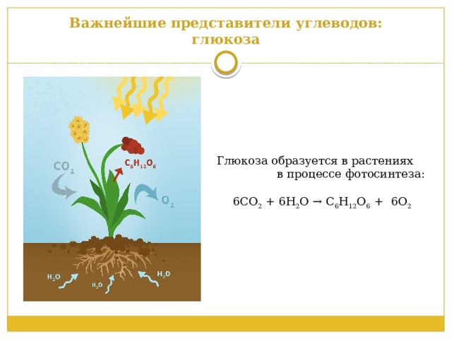 Презентация к уроку химии 9 класс углеводы