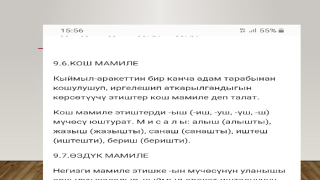  КОШ МАМИЛЕ 