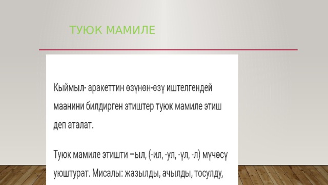  Туюк мамиле 