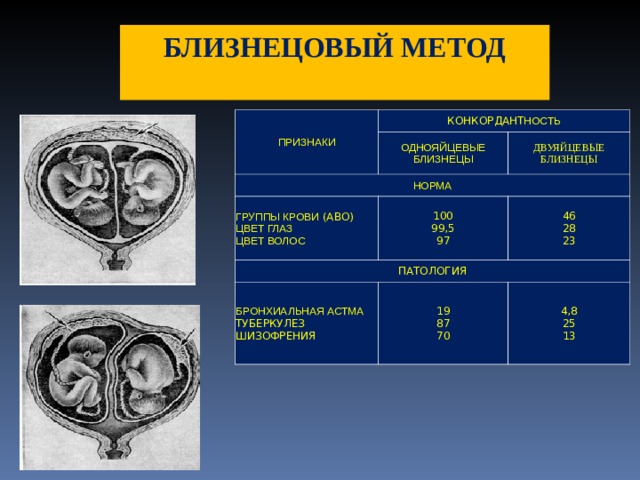 БЛИЗНЕЦОВЫЙ МЕТОД  ПРИЗНАКИ КОНКОРДАНТ НОСТЬ ОДНОЯЙЦЕВЫЕ БЛИЗНЕЦЫ НОРМА ДВУЯЙЦЕВЫЕ БЛИЗНЕЦЫ ГРУППЫ КРОВИ (АВО) ЦВЕТ ГЛАЗ  ЦВЕТ ВОЛОС 100  99,5  97 ПАТОЛОГИЯ 46  28  23 БРОНХИАЛЬНАЯ АСТМА  ТУБЕРКУЛЕЗ  ШИЗОФРЕНИЯ 19  87  70 4,8  25  13 