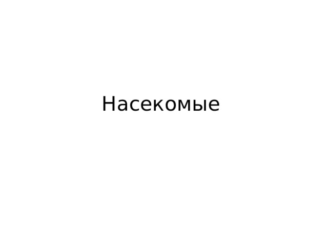 Насекомые 