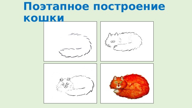 Поэтапное построение кошки 