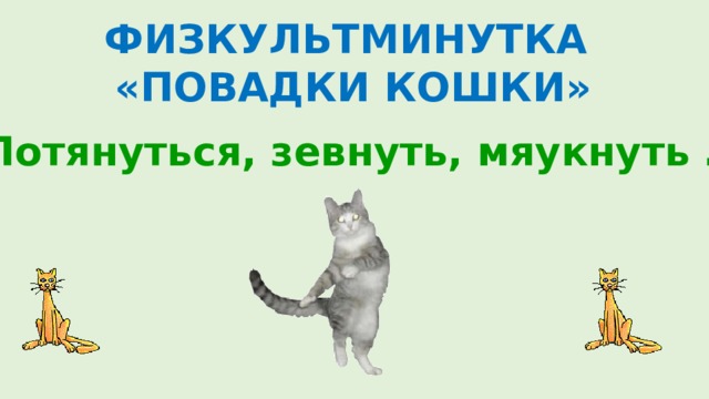 ФИЗКУЛЬТМИНУТКА «ПОВАДКИ КОШКИ» Потянуться, зевнуть, мяукнуть … 