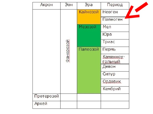 Второй период кайнозоя 6 букв. Палеозой мезозой периоды таблица.