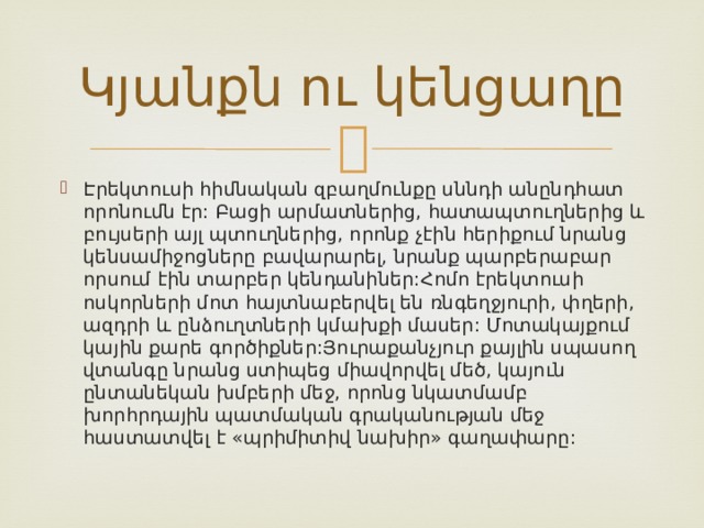 Կյանքն ու կենցաղը Էրեկտուսի հիմնական զբաղմունքը սննդի անընդհատ որոնումն էր: Բացի արմատներից, հատապտուղներից և բույսերի այլ պտուղներից, որոնք չէին հերիքում նրանց կենսամիջոցները բավարարել, նրանք պարբերաբար որսում էին տարբեր կենդանիներ:Հոմո էրեկտուսի ոսկորների մոտ հայտնաբերվել են ռնգեղջյուրի, փղերի, ազդրի և ընձուղտների կմախքի մասեր: Մոտակայքում կային քարե գործիքներ:Յուրաքանչյուր քայլին սպասող վտանգը նրանց ստիպեց միավորվել մեծ, կայուն ընտանեկան խմբերի մեջ, որոնց նկատմամբ խորհրդային պատմական գրականության մեջ հաստատվել է «պրիմիտիվ նախիր» գաղափարը: 