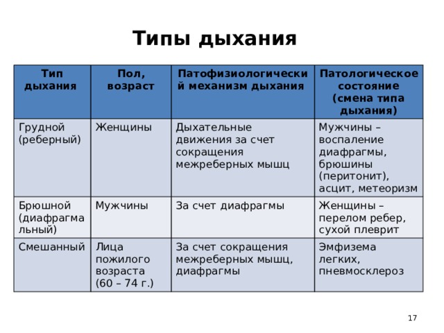 К типам дыхания относится