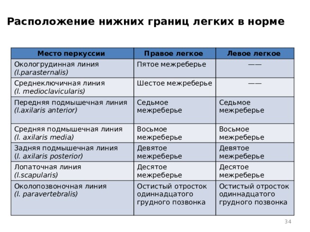 Нижняя граница легких. Расположение нижних границ легких в норме. Окологрудинная линия правого легкого. Нижние границы легкого в норме. Нижние границы правого и левого легкого в норме.