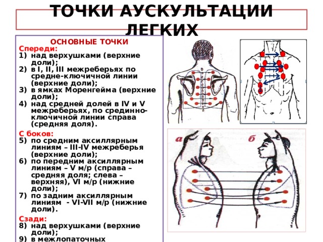 Аускультация легких картинки