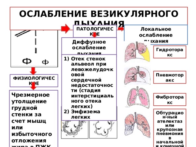 Ослабленное дыхание. Ослабление везикулярного дыхания. Локальное ослабление везикулярного дыхания. Ослабление везикулярного дыхания при ХСН. Альвеолярный отек легких.