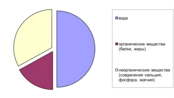 Изучите диаграмму соотношения групп химических веществ в костях пожилого человека