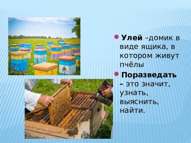 Улей –домик в виде ящика, в котором живут пчёлы Поразведать –  это значит, узнать, выяснить, найти.  