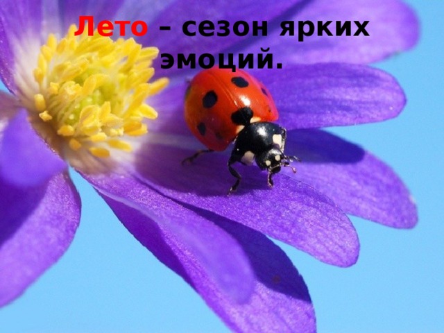 Лето – сезон ярких эмоций. 