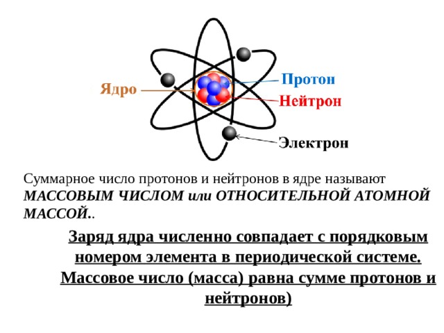 Суммарное число протонов и нейтронов в ядре называют МАССОВЫМ ЧИСЛОМ или ОТНОСИТЕЛЬНОЙ АТОМНОЙ МАССОЙ. . Заряд ядра численно совпадает с порядковым номером элемента в периодической системе. Массовое число (масса) равна сумме протонов и нейтронов) 