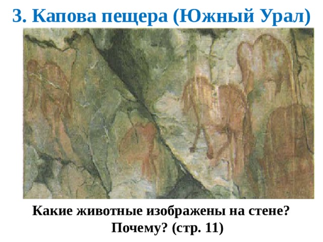 3. Капова пещера (Южный Урал) Какие животные изображены на стене? Почему? (стр. 11) 