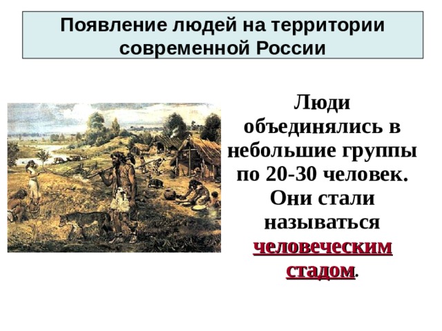 Появление людей на территории современной России Люди объединялись в небольшие группы по 20-30 человек. Они стали называться человеческим стадом . 